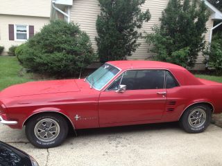 1967 Ford Mustang Base 3.  3l photo