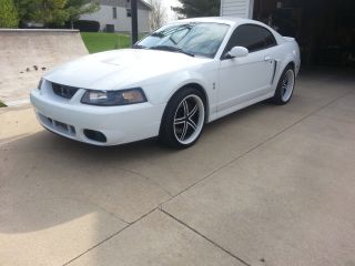 2003 Ford Mustang Svt Cobra Coupe 2 - Door 4.  6l photo
