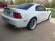 2003 Ford Mustang Svt Cobra Coupe 2 - Door 4.  6l Mustang photo 2