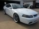 2003 Ford Mustang Svt Cobra Coupe 2 - Door 4.  6l Mustang photo 3
