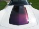 1979 Chevrolet Corvette - T - Top Coupe - Paint And Body - Good Driver Corvette photo 8