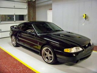 1998 Ford Mustang Svt Cobra 4.  6l Dohc photo