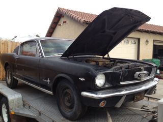 1965 2+2 Ford Mustang Fastback photo