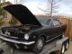 1965 2+2 Ford Mustang Fastback Mustang photo 1