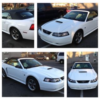 2001 Ford Mustang Gt Convertible V8 Automatic Fresh Paint Only 107k Engine photo