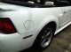 2001 Ford Mustang Gt Convertible V8 Automatic Fresh Paint Only 107k Engine Mustang photo 6