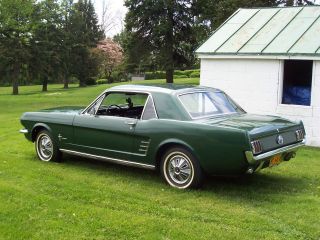 1966 Mustang Coupe (time Capsule) photo