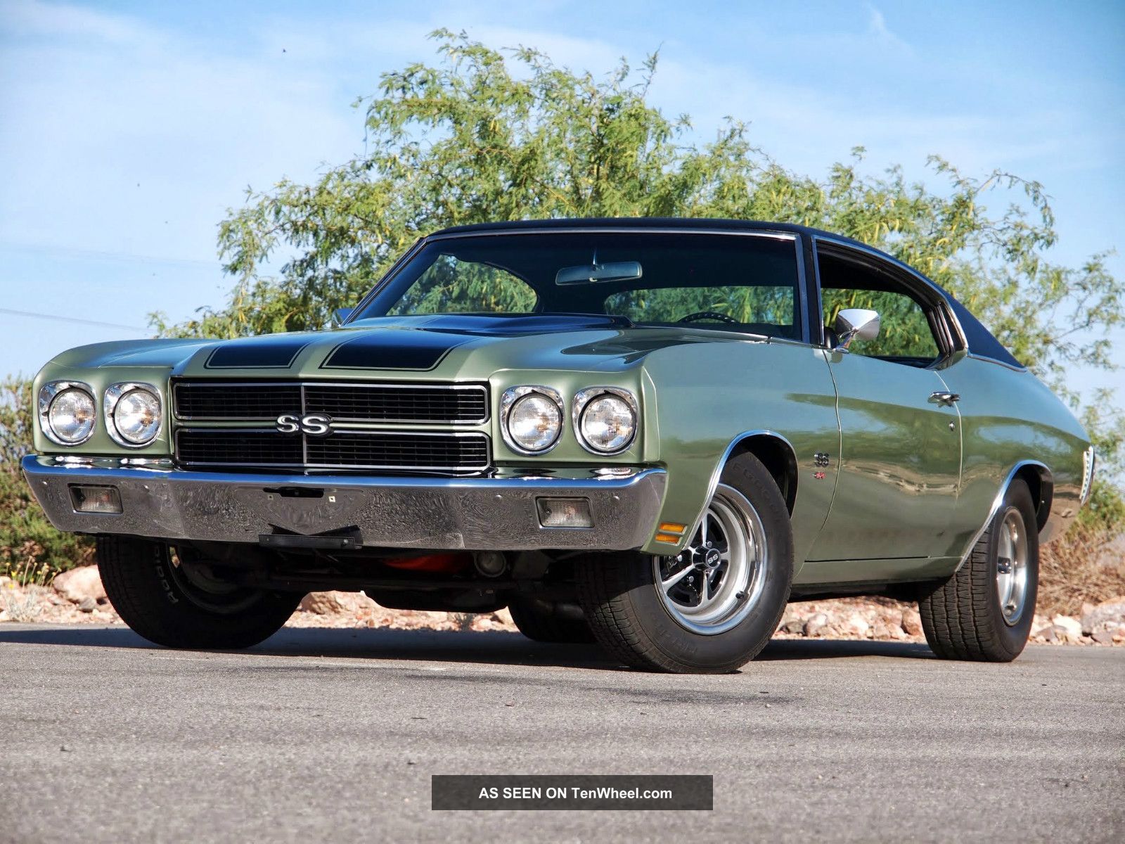 Show Quality Restoration Real 1970 Chevelle Ss 454 Ls5 Ac Professional Build Chevelle photo