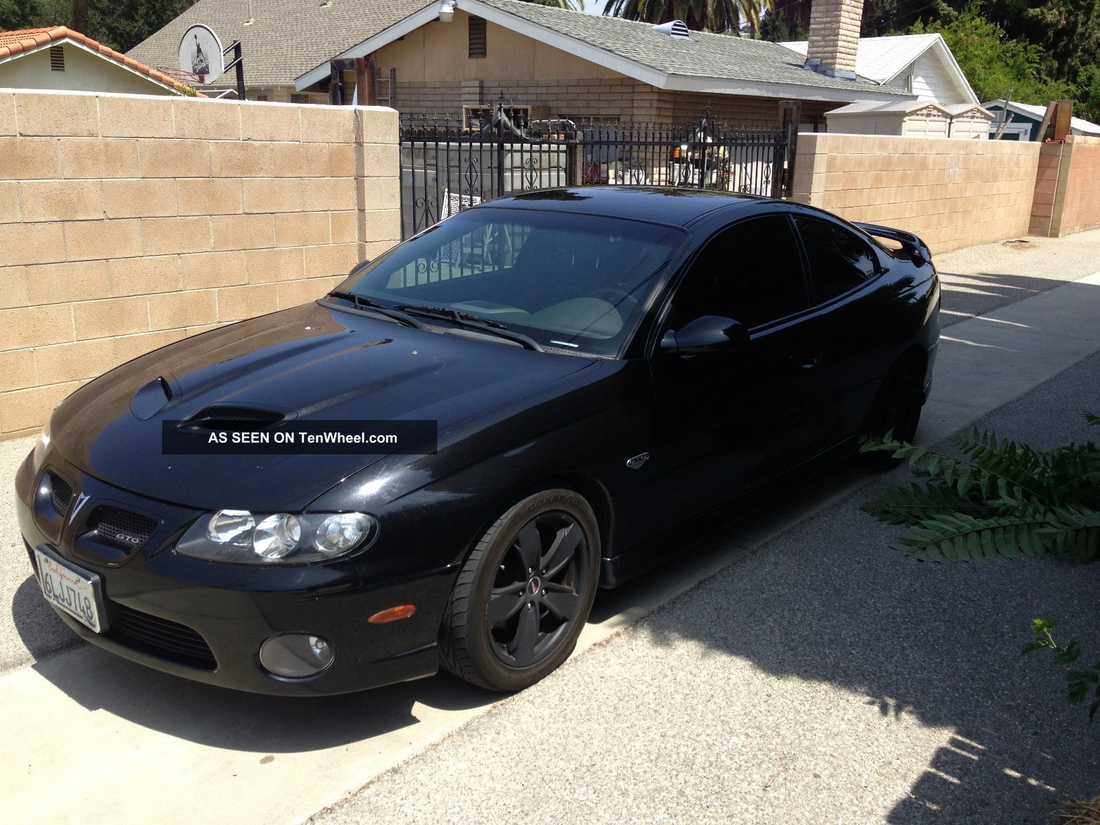 2005 Pontiac Gto Black On Black Mamba