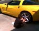 2011 3lt Beatuful Yellow Corvette Corvette photo 11