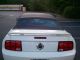 2005 Mustand Gt Convertible - White / Red - Black Interior Mustang photo 3
