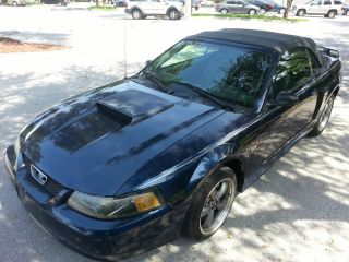2003 Ford Mustang Gt Coupe 2 - Door Convertible 4.  6l photo