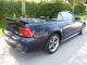 2003 Ford Mustang Gt Coupe 2 - Door Convertible 4.  6l Mustang photo 3