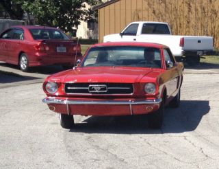 1964 Ford Mustang - Smooth Running In Great Shape photo