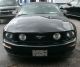 2006 Ford Mustang Gt Convertible Mustang photo 9