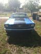 1965 Ford Mustang 289cu 4.  7l All Mustang photo 1