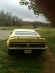1971 Ford Mustang Mach 1 Fastback Mustang photo 3