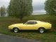 1971 Ford Mustang Mach 1 Fastback Mustang photo 4