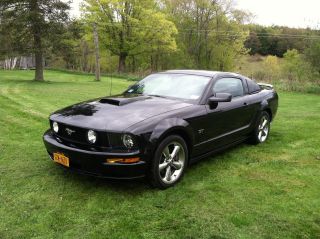 2008 Ford Mustang Gt Coupe 2 - Door 4.  6l photo