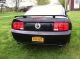 2008 Ford Mustang Gt Coupe 2 - Door 4.  6l Mustang photo 2