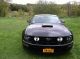 2008 Ford Mustang Gt Coupe 2 - Door 4.  6l Mustang photo 4
