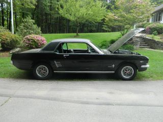 1966 Ford Mustang Coupe photo