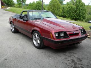 1986 Ford Mustang Lx Convertible - - Car - - 306,  5 Speed photo