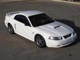 2001 Supercharged Mustang Gt,  7k In Mods. photo