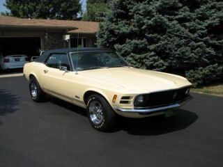 1970 Ford Mustang 302 Auto photo
