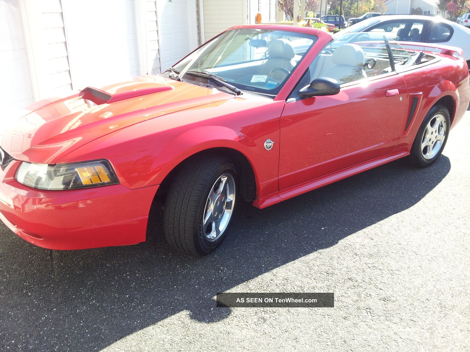 2004 Red Ford Mustang Convertible 40th Anniversary Edition With 6 Mustang photo