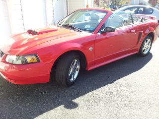 2004 Red Ford Mustang Convertible 40th Anniversary Edition With 6 photo