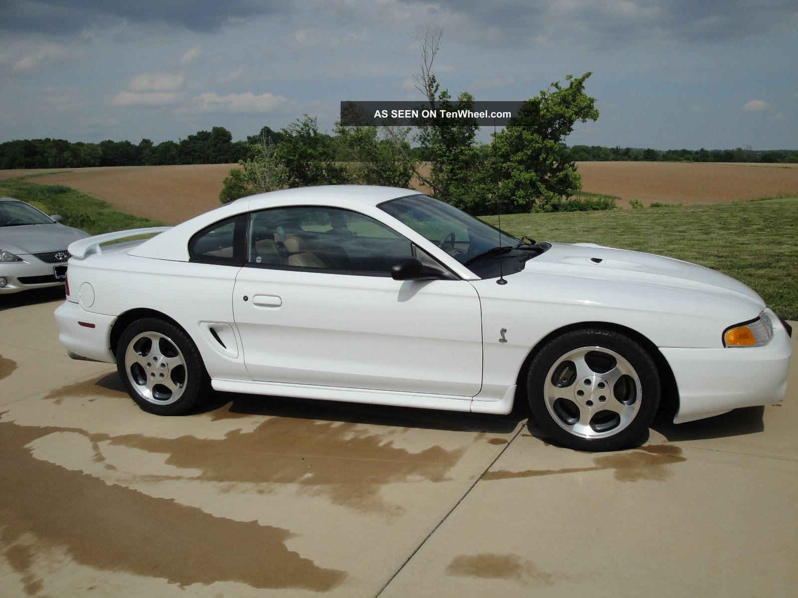 1997 Ford Mustang Svt Cobra Coupe 2 - Door 4.  6l Mustang photo