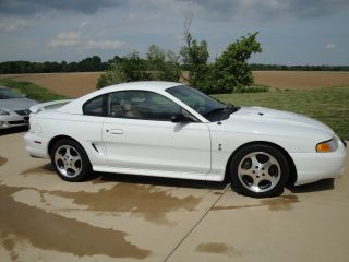 1997 Ford Mustang Svt Cobra Coupe 2 - Door 4.  6l photo