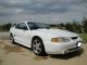 1997 Ford Mustang Svt Cobra Coupe 2 - Door 4.  6l Mustang photo 1