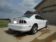 1997 Ford Mustang Svt Cobra Coupe 2 - Door 4.  6l Mustang photo 2