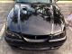 1996 Ford Mustang Gt Premium Convertible Loaded And Upgraded Like Show Car Mustang photo 8