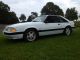1989 Ford Mustang Lx Hatchback 2 - Door 5.  0l Automatic Mustang photo 1