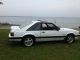 1989 Ford Mustang Lx Hatchback 2 - Door 5.  0l Automatic Mustang photo 3