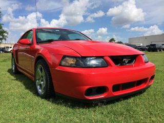 2003 Ford Mustang Svt Cobra Coupe 2 - Door 4.  6l photo