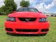 2003 Ford Mustang Svt Cobra Coupe 2 - Door 4.  6l Mustang photo 1