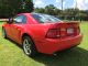 2003 Ford Mustang Svt Cobra Coupe 2 - Door 4.  6l Mustang photo 4