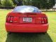 2003 Ford Mustang Svt Cobra Coupe 2 - Door 4.  6l Mustang photo 5