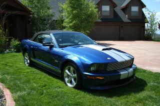 2008 Ford Shelby Gt Convertible Supercharged photo