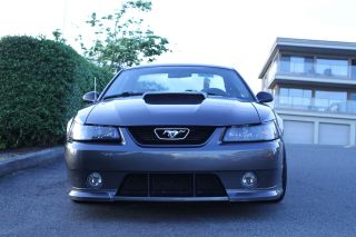 2003 Roush Stage 2 Mustang photo