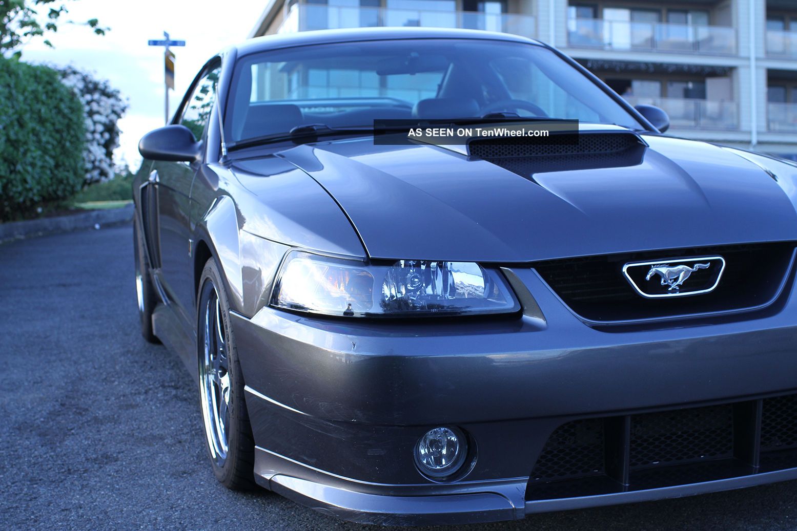 2003 Roush Stage 2 Mustang