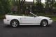 . .  Very Cool 2001 Ford Mustang Convertible,  3.  8 Liter,  Auto Trans,  6cd Mustang photo 1