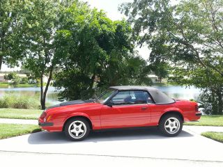 Rare 1983 Ford Mustang Gt Convertible 2 - Door 5.  0l Marti Report Limited Read On photo