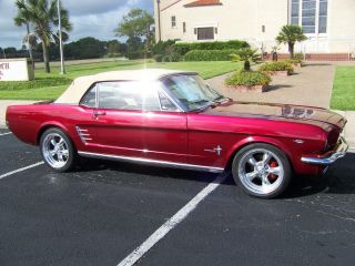 1966 Mustang Convertible Gt Wanna Be photo