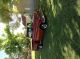 1955 Chevrolet Pickup,  Step Side.  350 V - 8 Engine.  Outstanding And Gorgeous Other photo 7