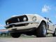 1969 Mustang 302 Fastback Mustang photo 6